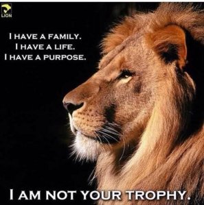 Not Your Trophy